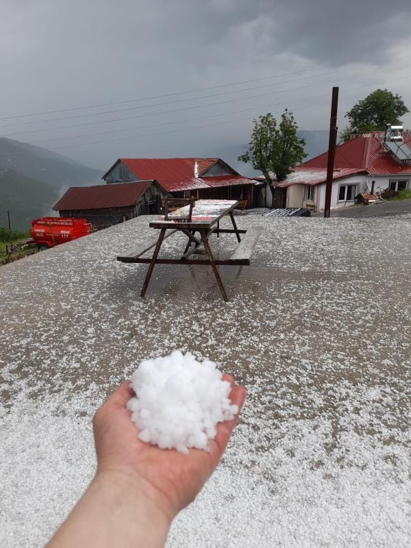 Dolu Yağdı, Fındıklar Zarar Gördü